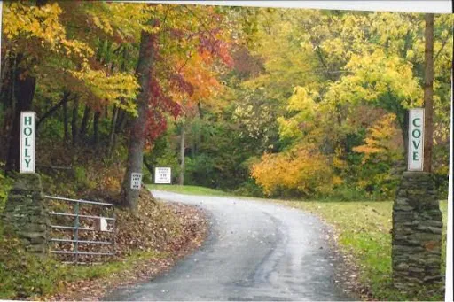 Holly Cove RV Resort Picture 6