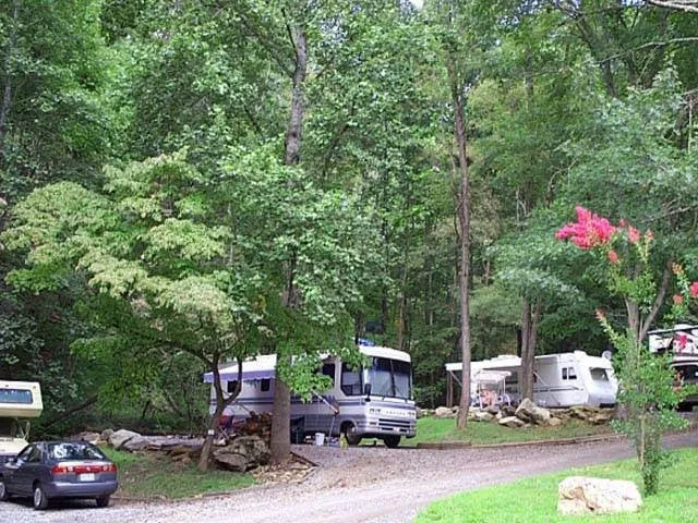 Holly Cove RV Resort Picture 9