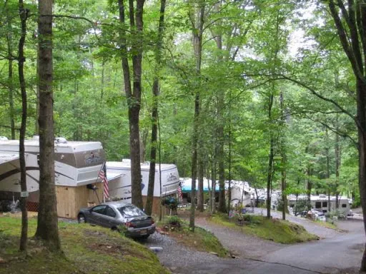 Holly Cove RV Resort Picture 10