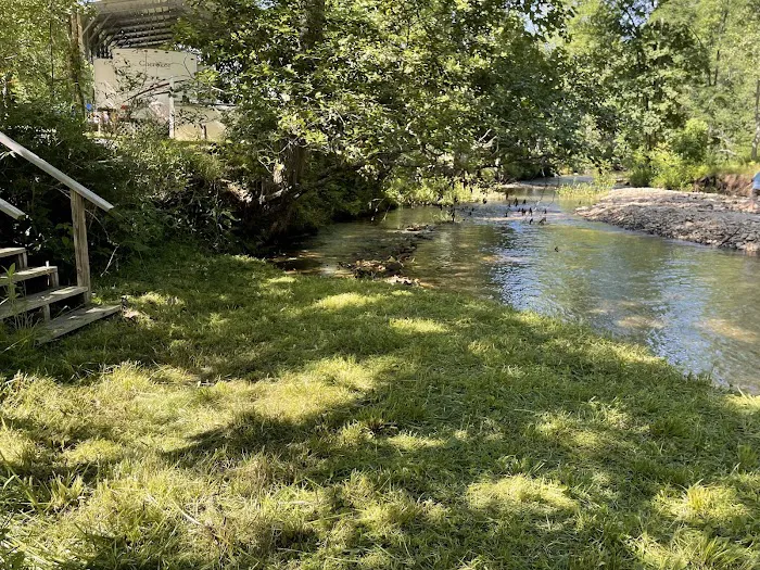 Coweeta Creek Private Campground Picture 2
