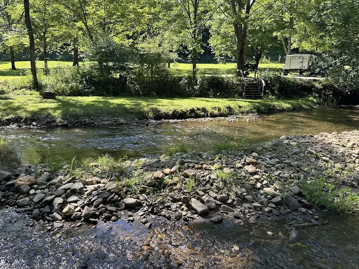 Coweeta Creek Private Campground Picture 6