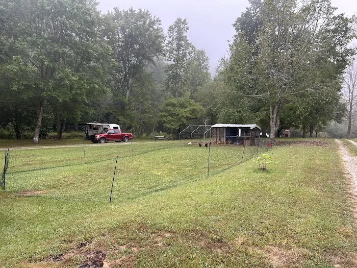 Coweeta Creek Private Campground Picture 4