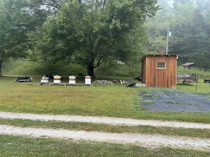 Coweeta Creek Private Campground Picture 8