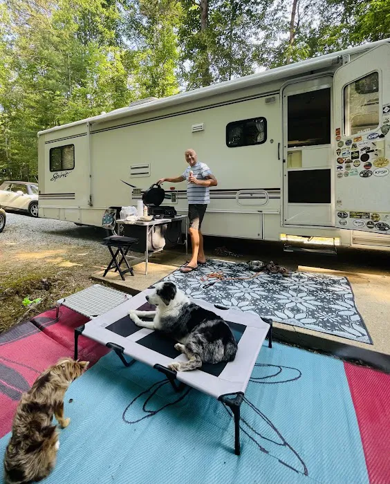 Mi Mountain Campground Picture 1