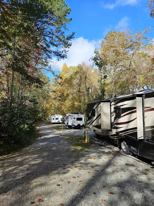 Mi Mountain Campground Picture 2