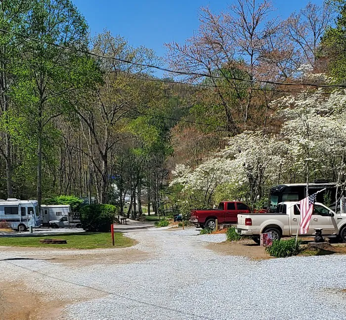 Mi Mountain Campground Picture 6