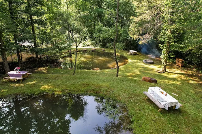 Southern Belles Glamping Picture 6