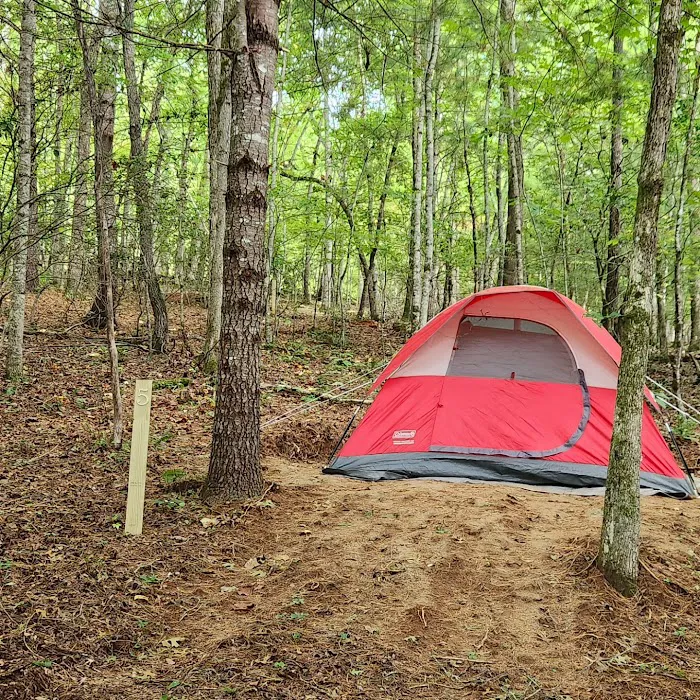 Cowee Campground Picture 6