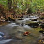 Timberlake Campground