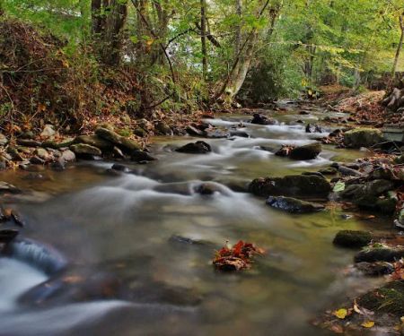 Timberlake Campground