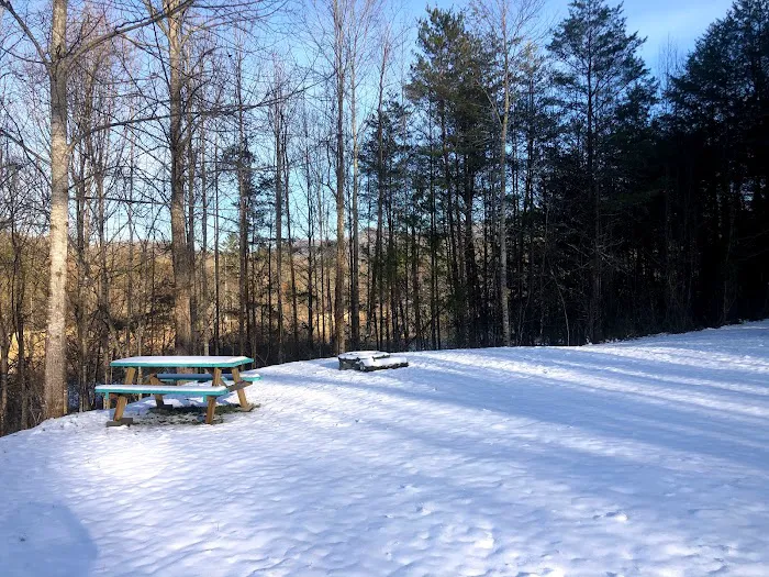 Hipcamp - Gateway to the Smokies Picture 2