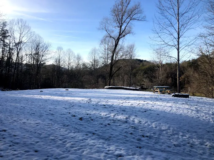 Hipcamp - Gateway to the Smokies Picture 4