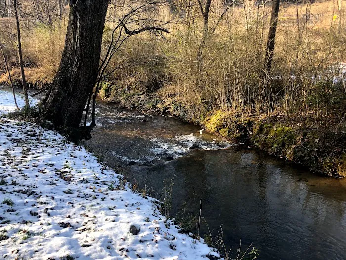 Hipcamp - Gateway to the Smokies Picture 5