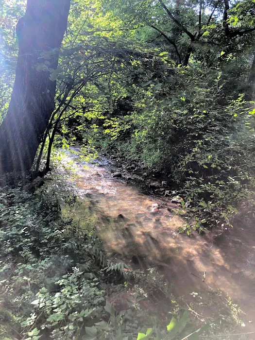 Hipcamp - Gateway to the Smokies Picture 9