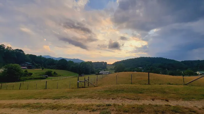 Fort Wilderness RV Park Picture 6