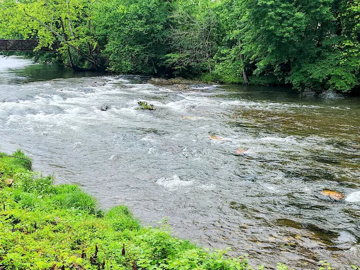 Great Smoky Mountain Camp and RV Park Picture 1