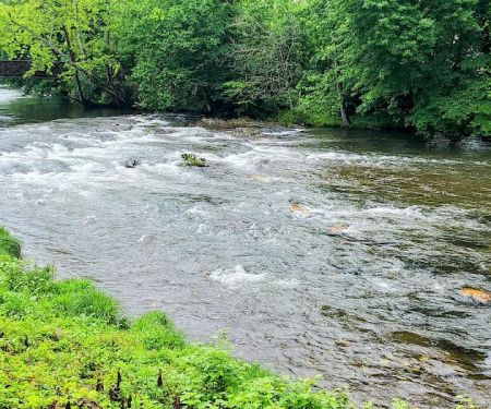 Great Smoky Mountain Camp and RV Park