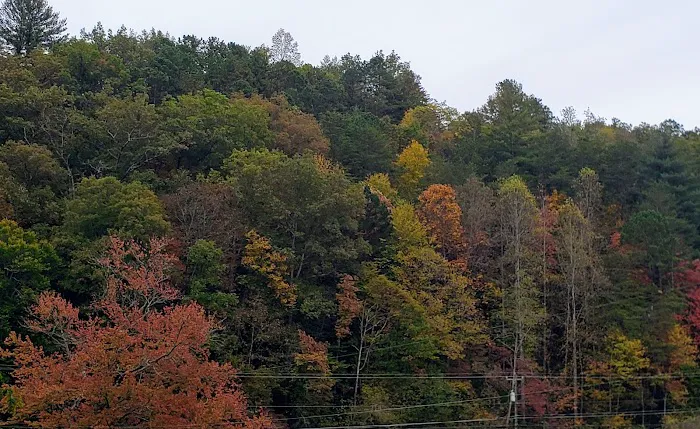 Conleys Creek Campground Picture 1