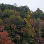 Conleys Creek Campground