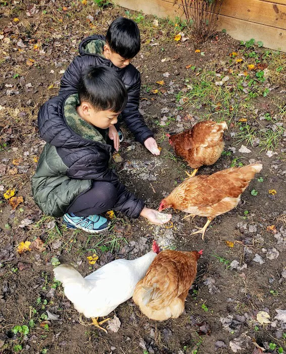 Conleys Creek Campground Picture 6