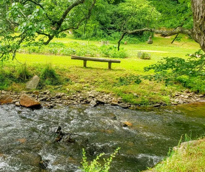 Conleys Creek Campground Picture 10