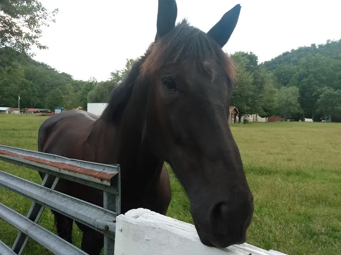 Riverside Motel & Campground Picture 1