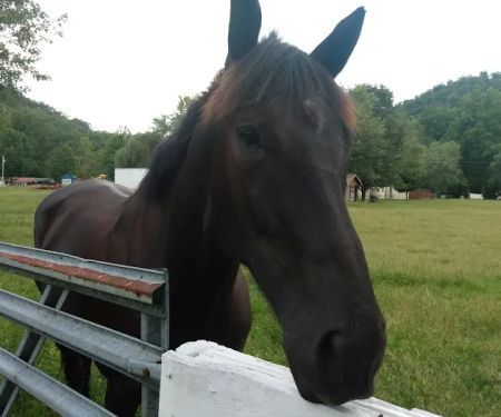 Riverside Motel & Campground