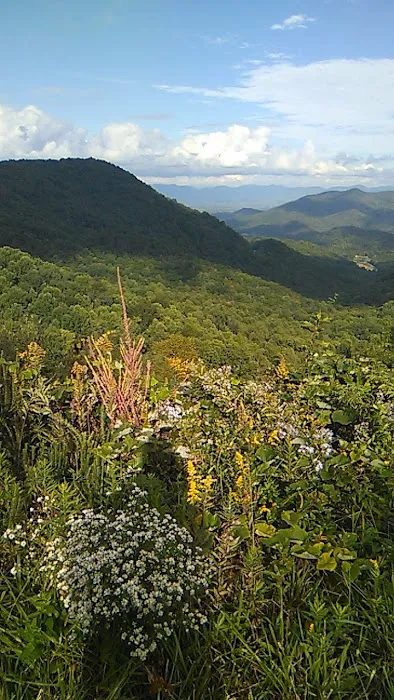 Riverside Motel & Campground Picture 3