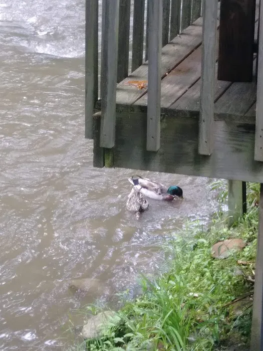 Riverside Motel & Campground Picture 14