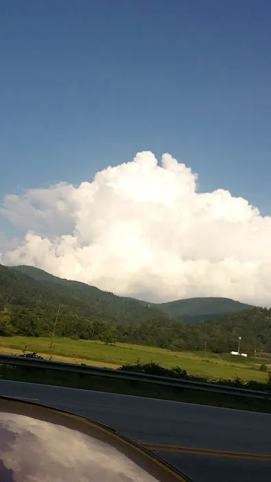 Natural Resources Department Picture 11