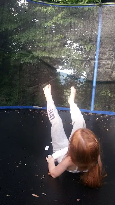 Natural Resources Department Picture 17