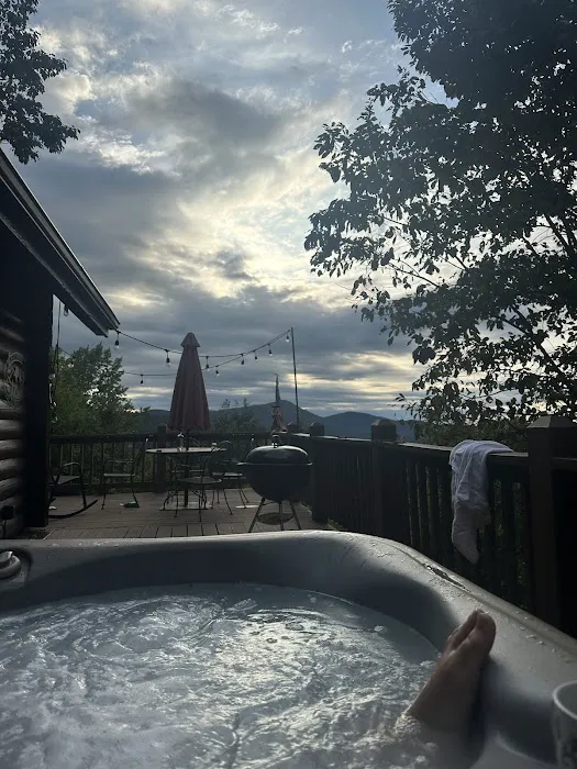 Nordic Nest Cabin Picture 2