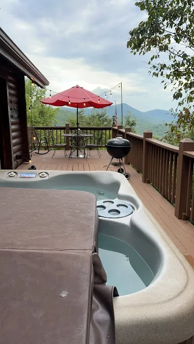 Nordic Nest Cabin Picture 3