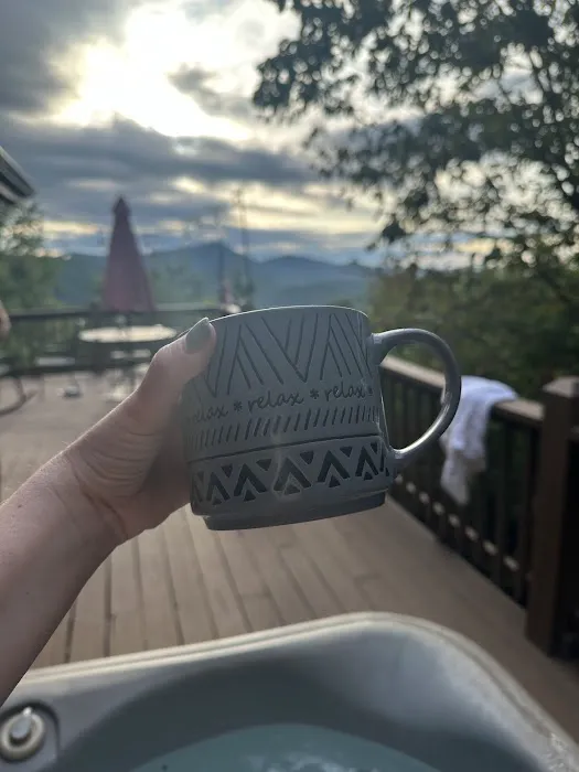 Nordic Nest Cabin Picture 4