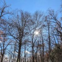 Chattooga Sounds Camp ico