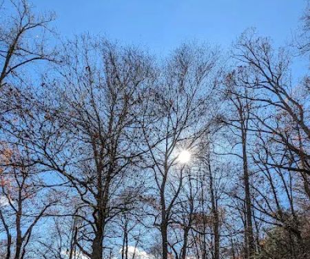 Chattooga Sounds Camp