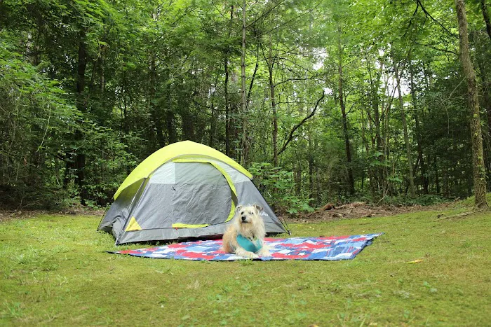 Chattooga Sounds Camp Picture 12