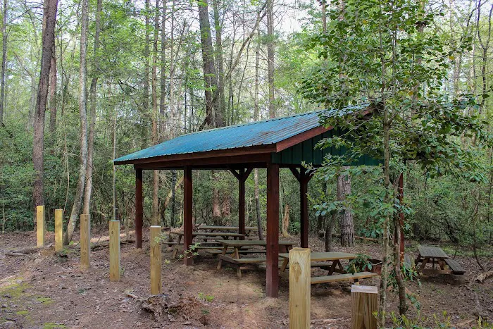 Chattooga Sounds Camp Picture 10