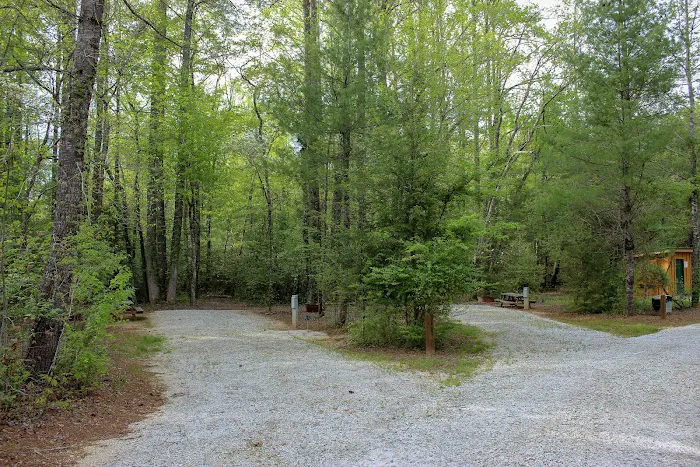 Chattooga Sounds Camp Picture 13