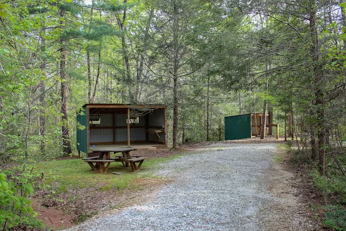 Chattooga Sounds Camp Picture 16