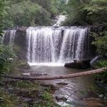 Brasstown Falls Waterfall and Camping Area