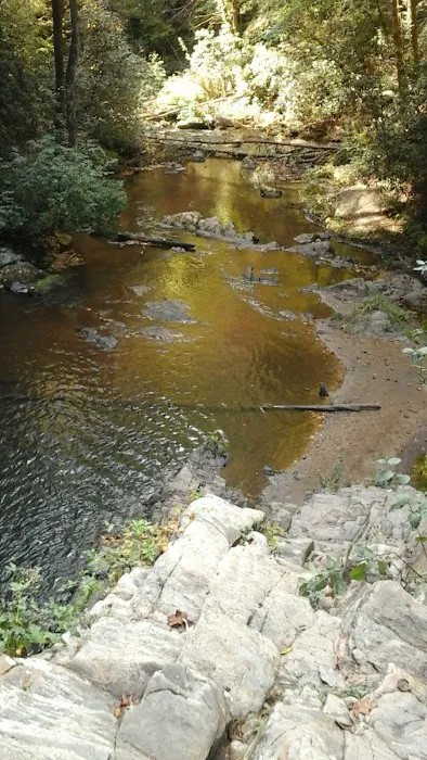 Brasstown Falls Waterfall and Camping Area Picture 5