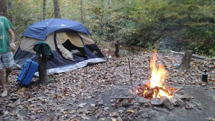 Brasstown Falls Waterfall and Camping Area Picture 10
