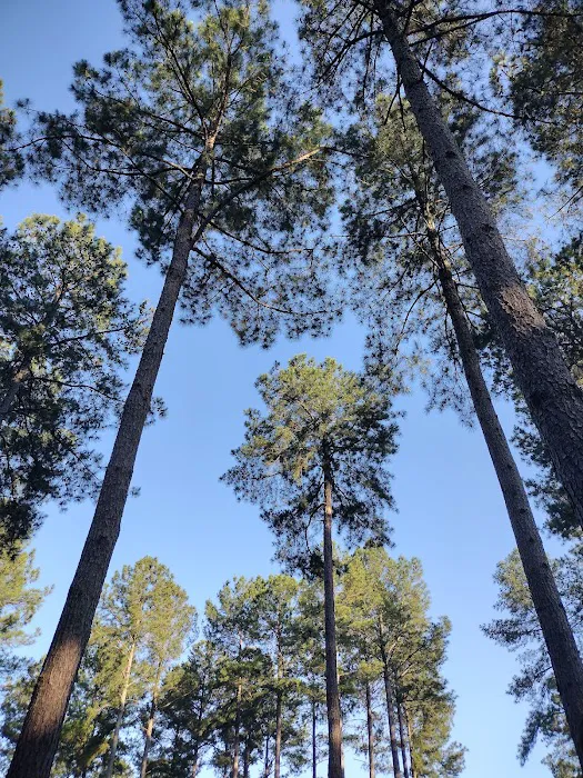 Forest Spring Family Campground Picture 2