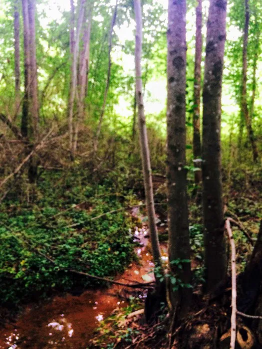 Forest Spring Family Campground Picture 6