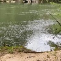 J & B on the River (Tugaloo) ico