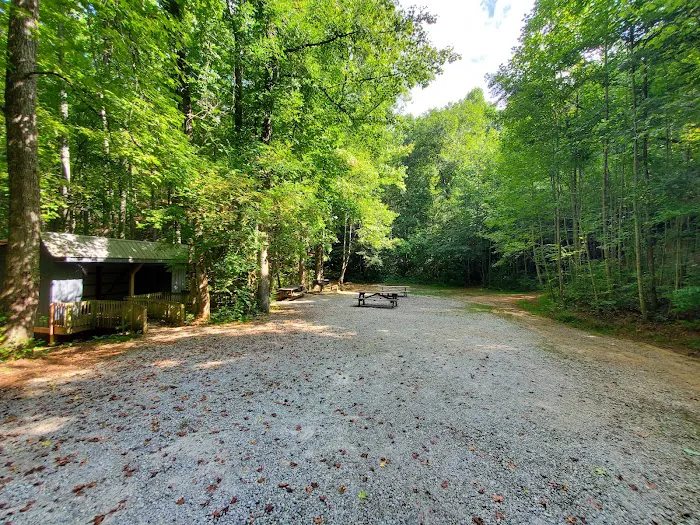 Pioneer Campground Picture 3