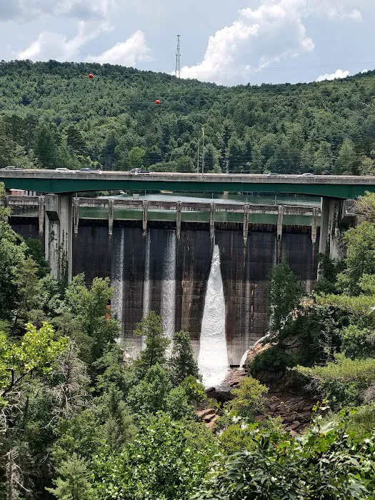 Pioneer Campground Picture 1