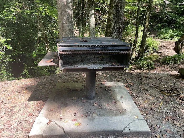 Pioneer Campground Picture 4