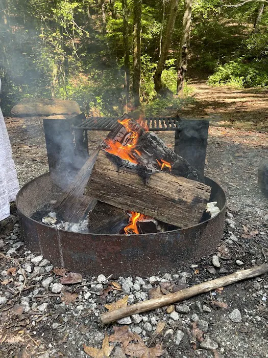 Pioneer Campground Picture 7